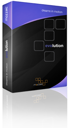 mozzaic - evolution
